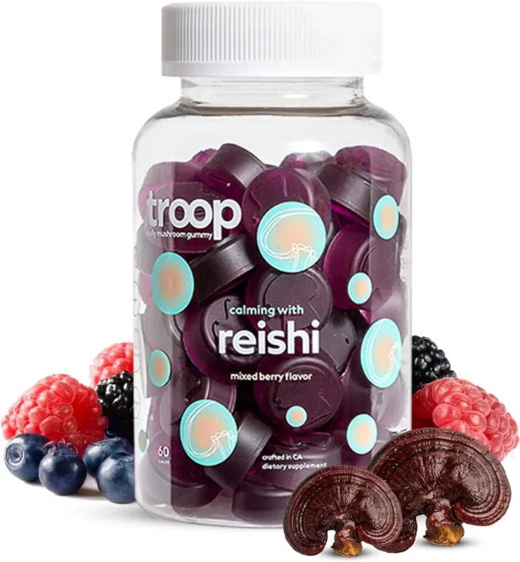 best reishi mushroom supplements for sleep - Troop Daily Mushroom Reishi Gummy